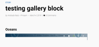 2nd-image-in-gallery-block.PNG